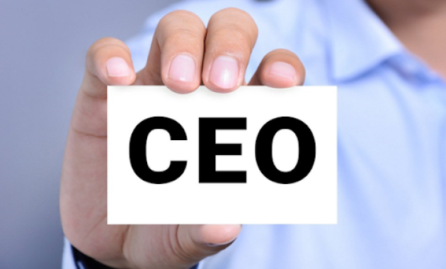 Cara Menjadi CEO Perusahaan yang Sukses