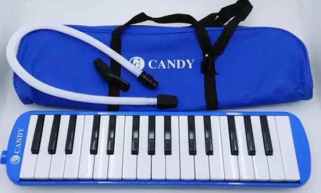 Cara Terjadinya Bunyi Pianika