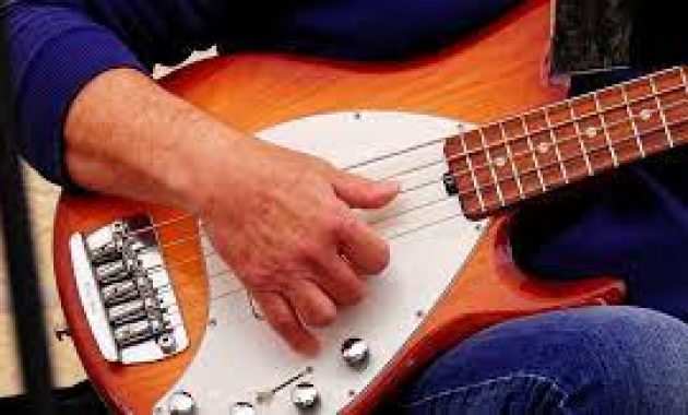 Cara Menjadi Bassist Profesional