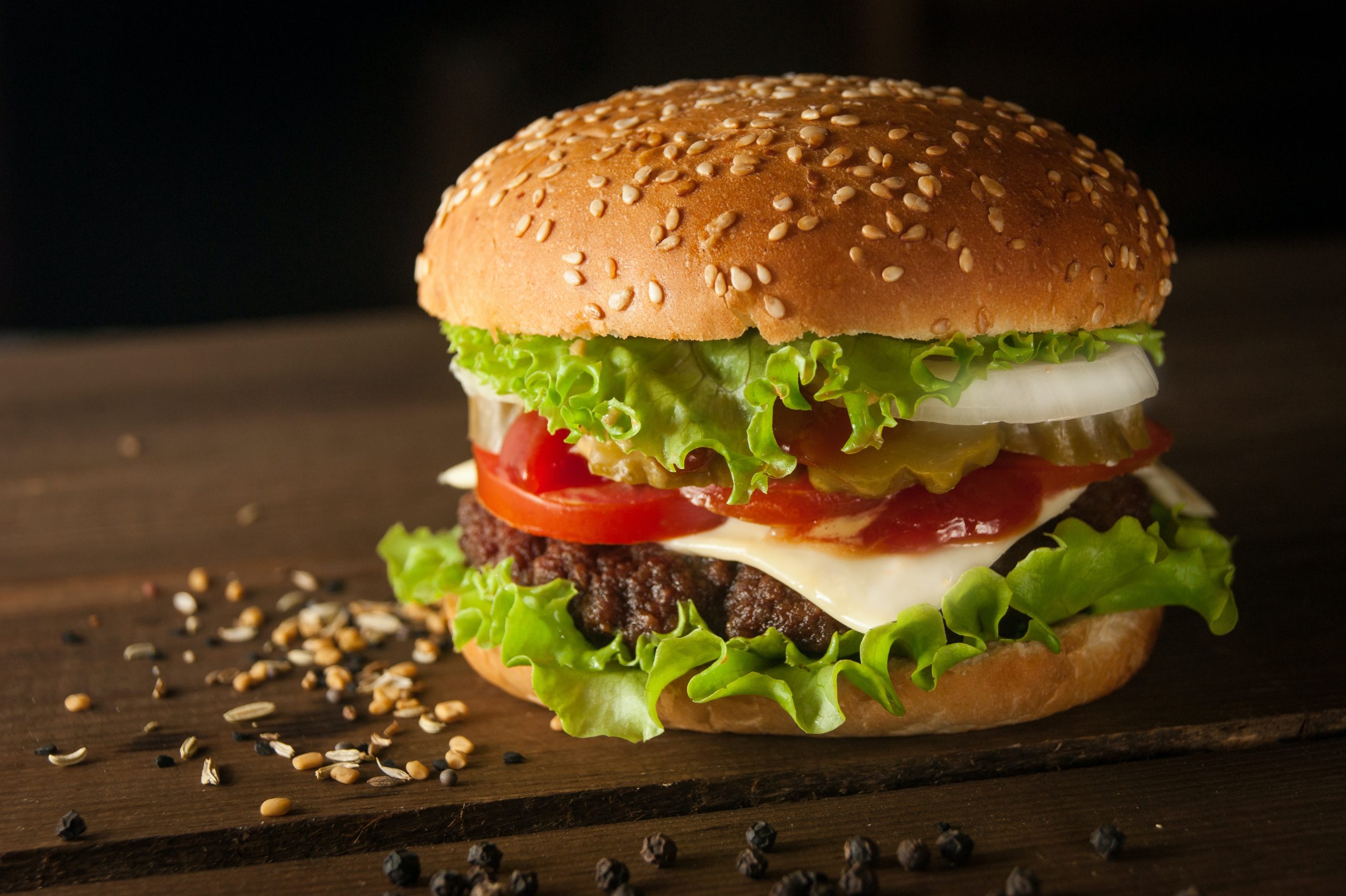 Resiko Usaha Burger