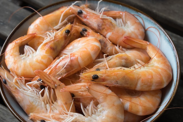 Rekomendasi Tempat Terbaik Untuk Budidaya Udang