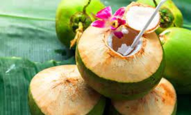 cara memilih kelapa muda yang berkualitas