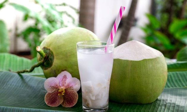 cara untuk membuat es kelapa muda