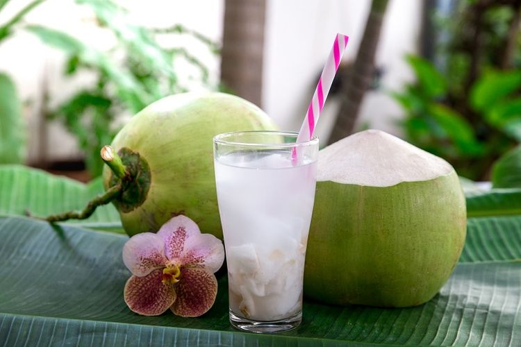 cara untuk membuat es kelapa muda