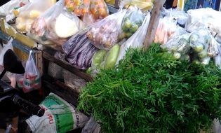 Alasan Memilih Usaha Jualan Sayur