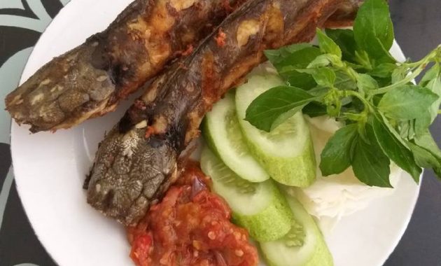 ide peluang usaha Pecel Lele Lamongan