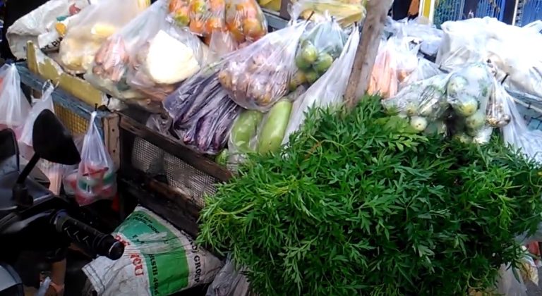 Ide peluang usaha jualan sayur