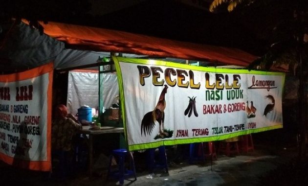 alasan memilih usaha jualan Pecel Lele Lamongan