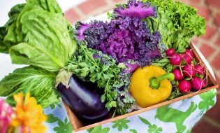 Bagaimana Cara Menjalankan Usaha Sayur Keliling