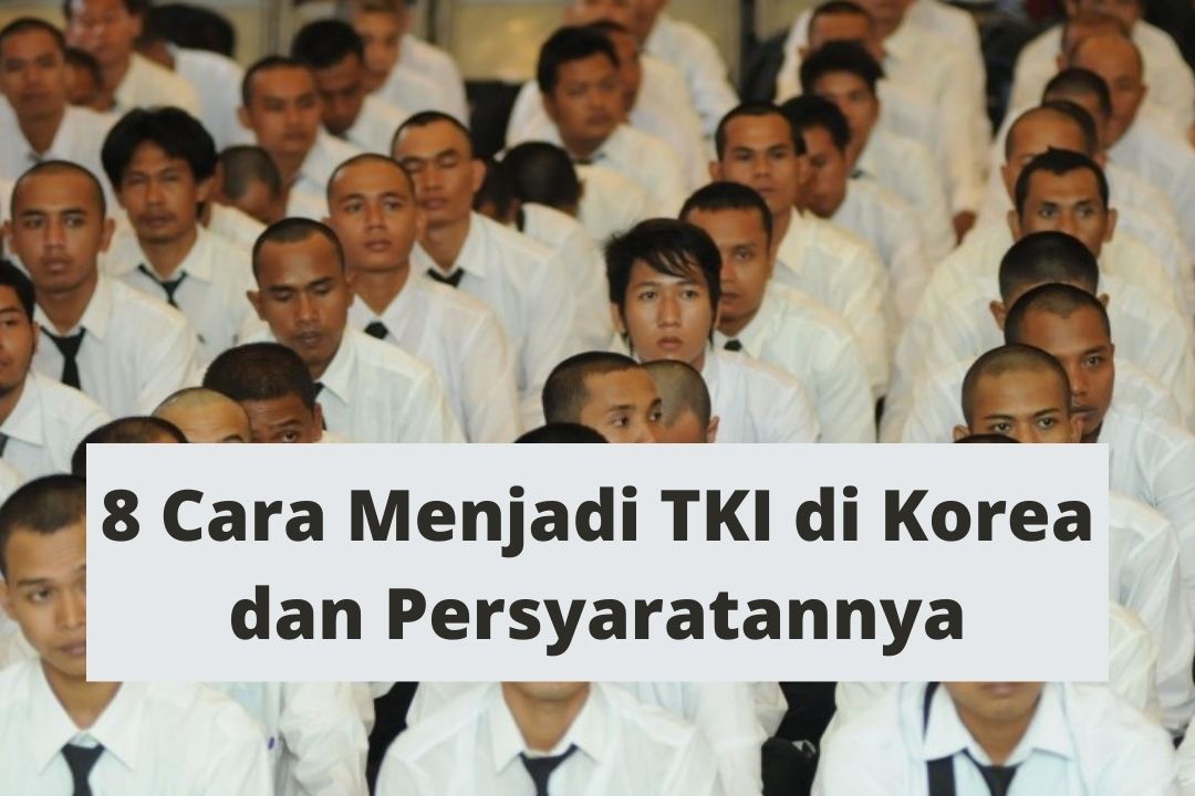 8 Cara Menjadi TKI di Korea dan Persyaratannya