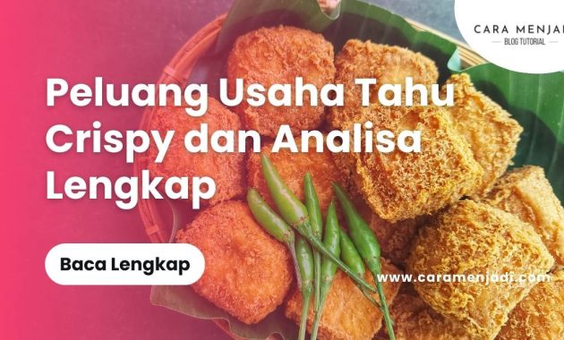 Peluang Usaha Tahu Crispy dan Analisa Lengkap