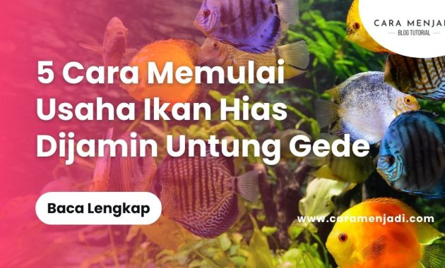 Cara memulai usaha ikan hias