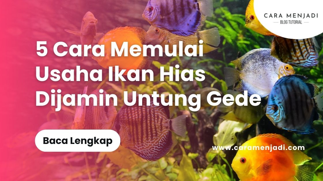 Cara memulai usaha ikan hias