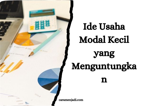 Ide Usaha Modal Kecil yang Menguntungkan