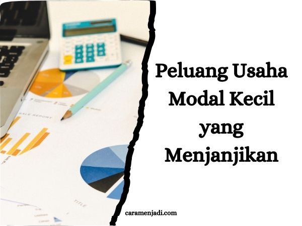 Peluang Usaha Modal Kecil yang Menjanjikan