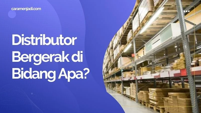 Distributor Bergerak di Bidang Apa?