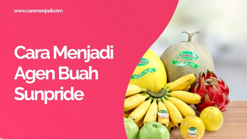 Cara Menjadi Agen Buah Sunpride
