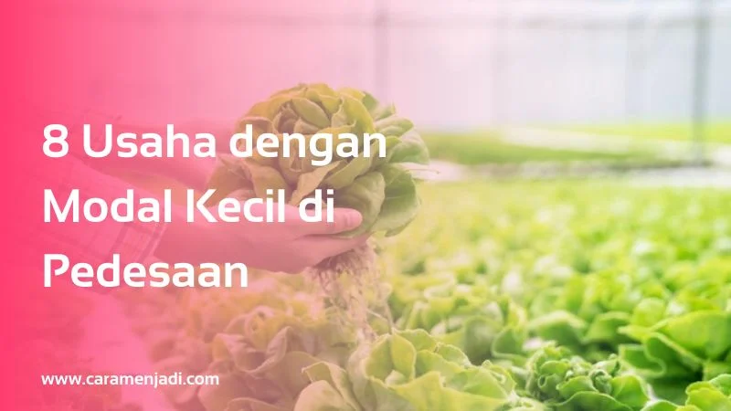 8 Usaha dengan Modal Kecil di Pedesaan