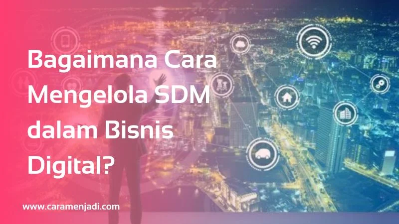 Bagaimana Cara Mengelola SDM dalam Bisnis Digital?