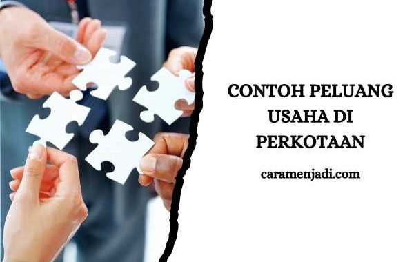 Contoh Peluang Usaha di Perkotaan