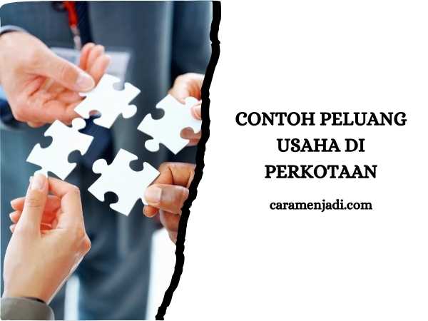 Contoh Peluang Usaha di Perkotaan