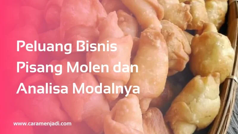Peluang Bisnis Pisang Molen dan Analisa Modalnya