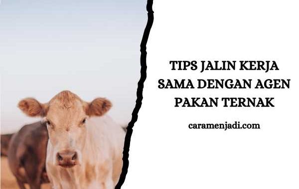 Tips Jalin Kerja Sama dengan Agen Pakan Ternak