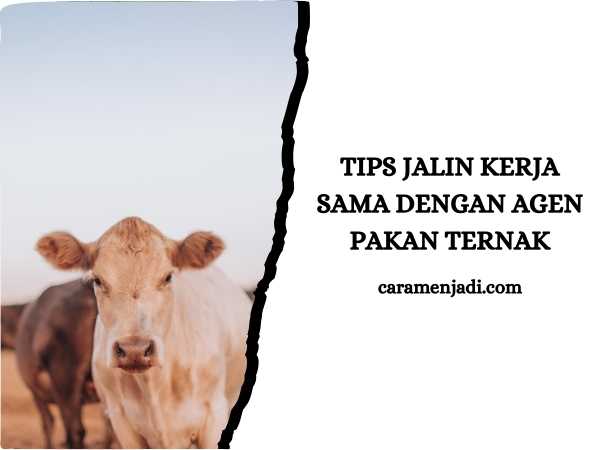 Tips Jalin Kerja Sama dengan Agen Pakan Ternak