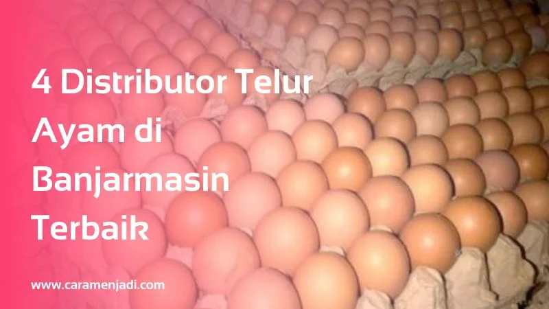Distributor Telur Ayam di Banjarmasin Terbaik