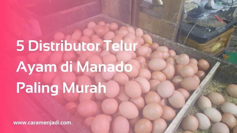 Distributor Telur Ayam di Manado