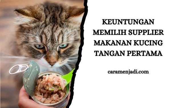 Keuntungan Memilih Supplier Makanan Kucing Tangan Pertama