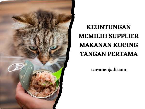 Keuntungan Memilih Supplier Makanan Kucing Tangan Pertama