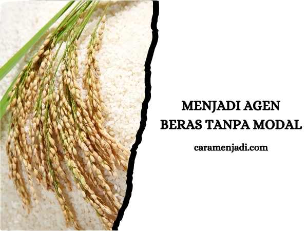 Menjadi Agen Beras Tanpa Modal