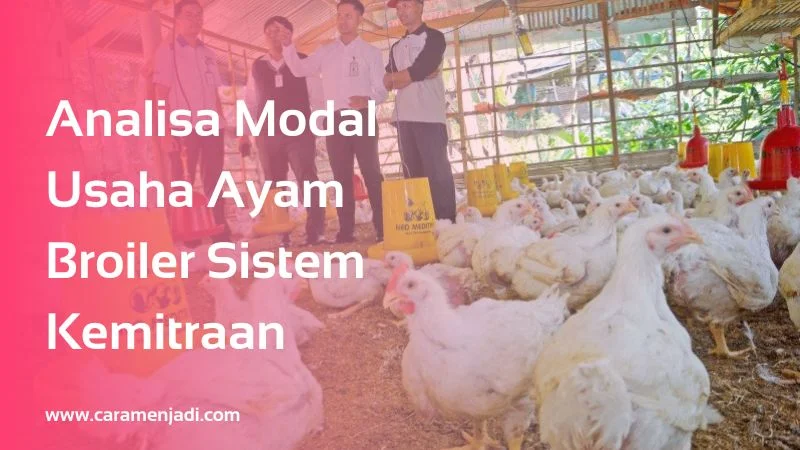 Analisa Modal Usaha Ayam Broiler Sistem Kemitraan