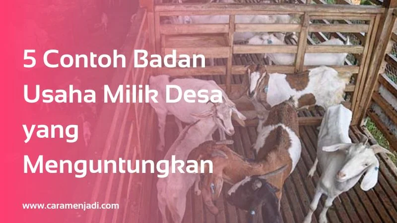 Contoh Badan Usaha Milik Desa