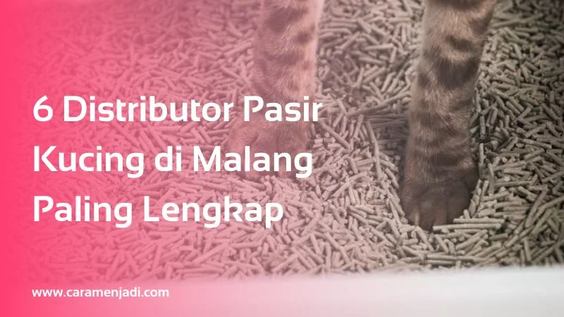 Distributor Pasir Kucing di Malang
