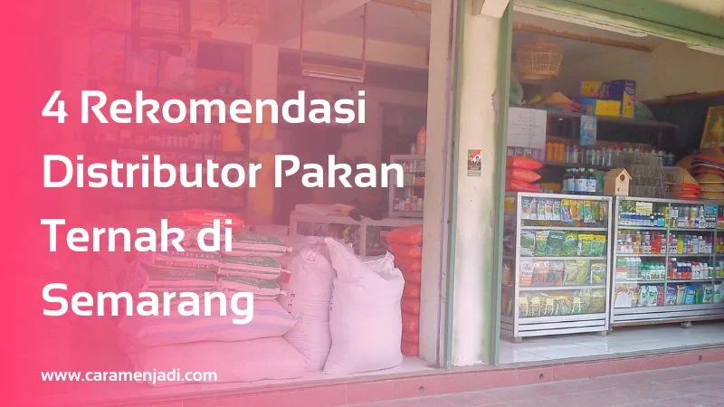 4 Rekomendasi Distributor Pakan Ternak di Semarang