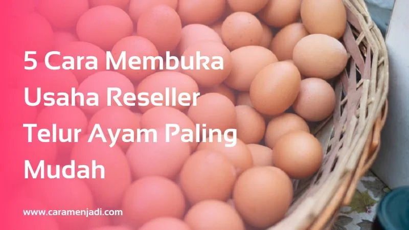 5 Cara Membuka Usaha Reseller Telur Ayam Paling Mudah