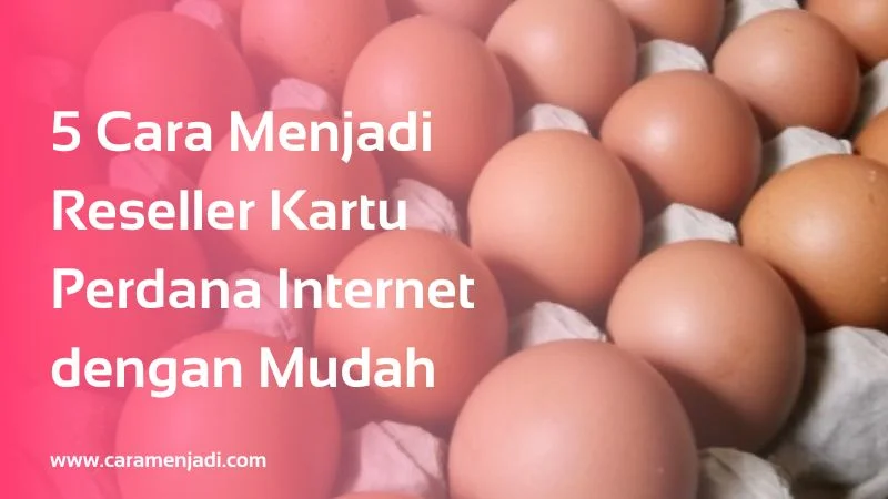 5 Cara Menjadi Reseller Kartu Perdana Internet dengan Mudah