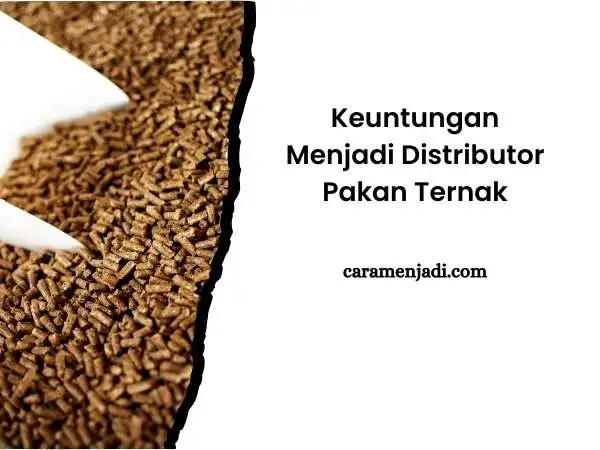 Keuntungan Menjadi Distributor Pakan Ternak